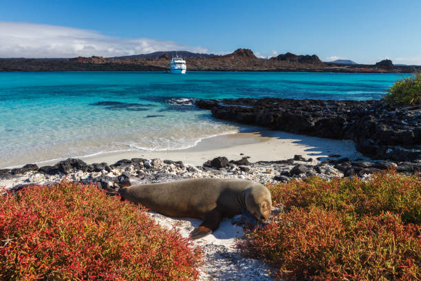Galápagos Expedition